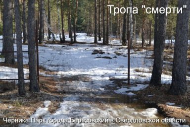 Березовский в тисках наркомании, жители на передовой борьбы с закладчиками и равнодушием властей